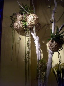 老狼花藝婚慶 經(jīng)典花藝軟裝飾設(shè)計與景觀工程的一站式服務(wù)