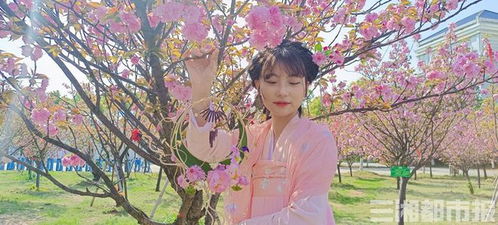 身著漢服踏歌行 岳陽職院景觀工程中的中國風(fēng)設(shè)計(jì)與實(shí)踐